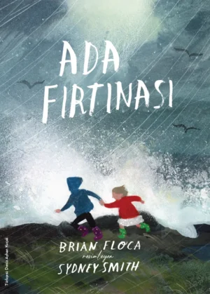 Ada fırtınası